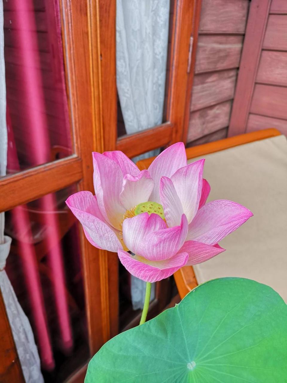 Baan Sithepaban Guesthouse Phitsanulok Exteriör bild